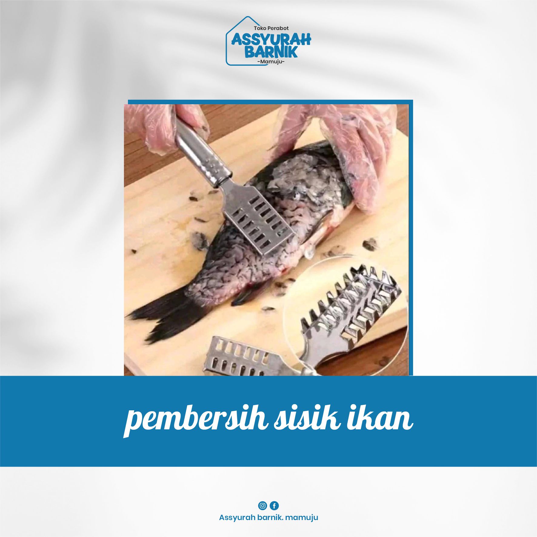pembersih sisik ikan