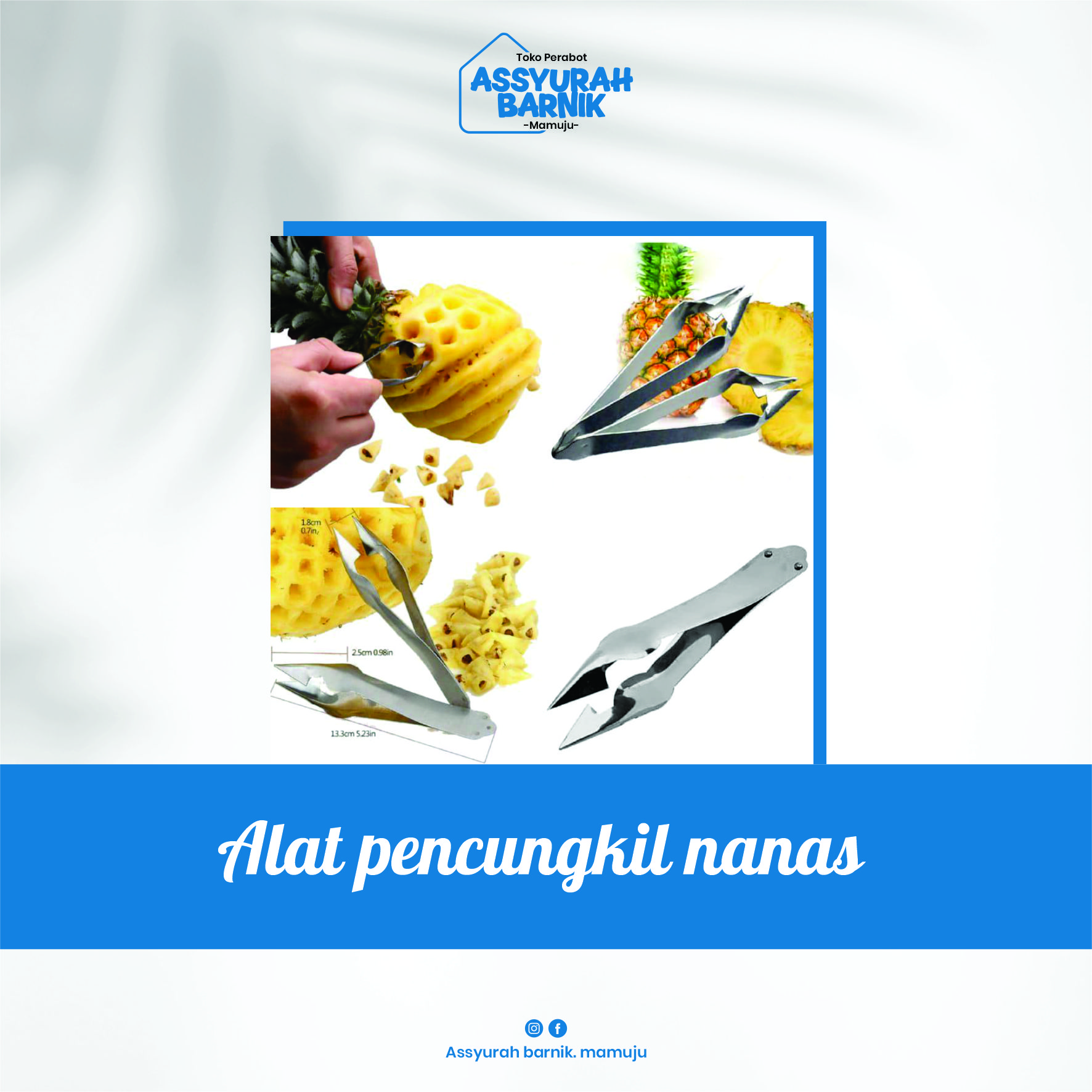 Alat pencungkil nanas